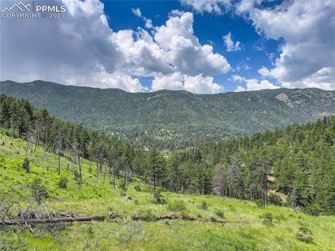 Tiny photo for 5975 Wellington Road, Cascade, CO 80809 (MLS # 1521816)