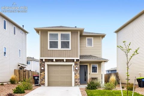 Photo of 8023 Nico Way, Peyton, CO 80831 (MLS # 1842203)