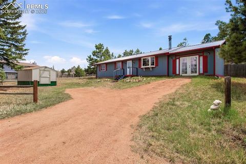 Photo of 1217 Michael Lane, Woodland Park, CO 80863 (MLS # 5098267)