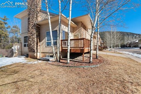 Tiny photo for 740 Westwood Trace, Woodland Park, CO 80863 (MLS # 3845904)