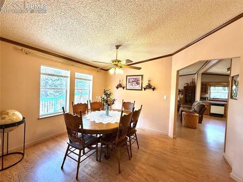 Tiny photo for 17 Amanda Circle, Florissant, CO 80816 (MLS # 4185644)