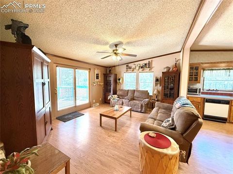Tiny photo for 17 Amanda Circle, Florissant, CO 80816 (MLS # 4185644)