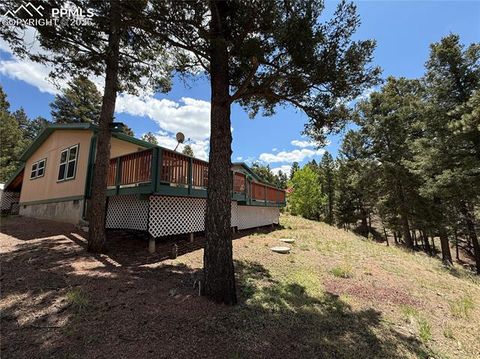 Photo of 17 Amanda Circle, Florissant, CO 80816 (MLS # 4185644)