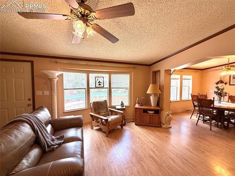 Tiny photo for 17 Amanda Circle, Florissant, CO 80816 (MLS # 4185644)