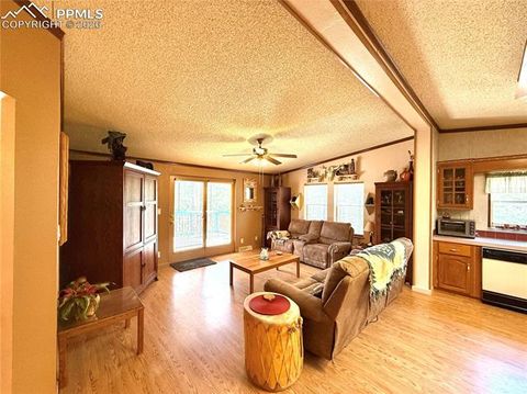 Tiny photo for 17 Amanda Circle, Florissant, CO 80816 (MLS # 4185644)
