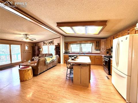 Tiny photo for 17 Amanda Circle, Florissant, CO 80816 (MLS # 4185644)