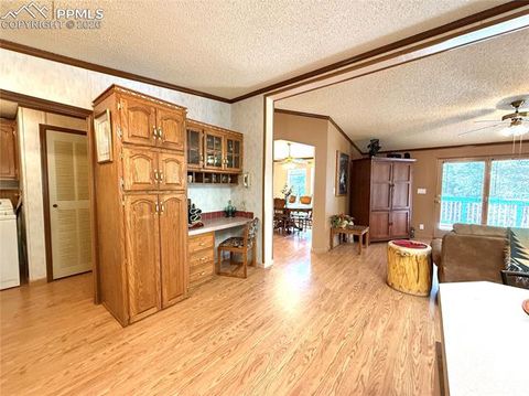 Tiny photo for 17 Amanda Circle, Florissant, CO 80816 (MLS # 4185644)