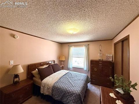 Tiny photo for 17 Amanda Circle, Florissant, CO 80816 (MLS # 4185644)