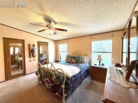 Tiny photo for 17 Amanda Circle, Florissant, CO 80816 (MLS # 4185644)