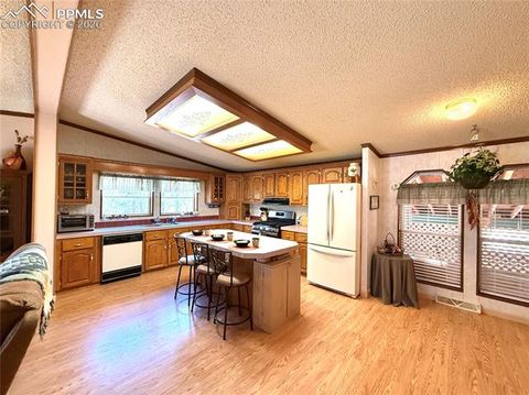 Tiny photo for 17 Amanda Circle, Florissant, CO 80816 (MLS # 4185644)