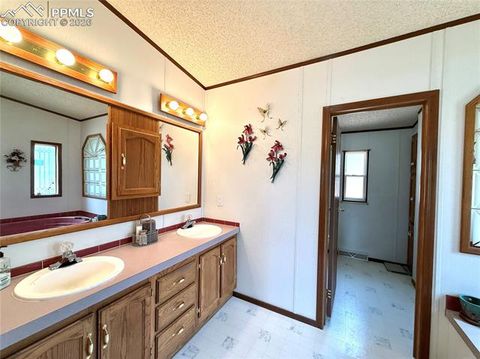 Tiny photo for 17 Amanda Circle, Florissant, CO 80816 (MLS # 4185644)