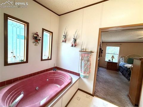 Tiny photo for 17 Amanda Circle, Florissant, CO 80816 (MLS # 4185644)
