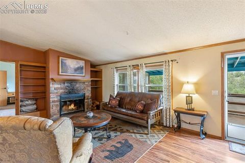 Tiny photo for 1703 Arapahoe Drive, Florissant, CO 80816 (MLS # 6974035)
