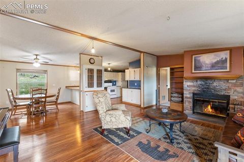 Tiny photo for 1703 Arapahoe Drive, Florissant, CO 80816 (MLS # 6974035)