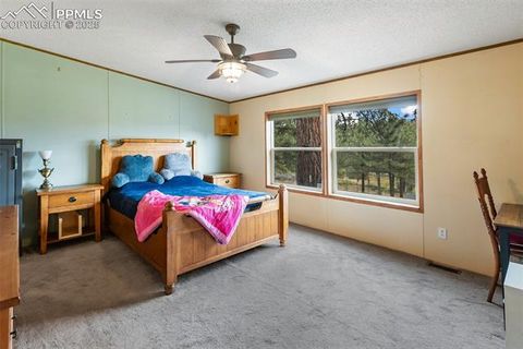 Tiny photo for 1703 Arapahoe Drive, Florissant, CO 80816 (MLS # 6974035)