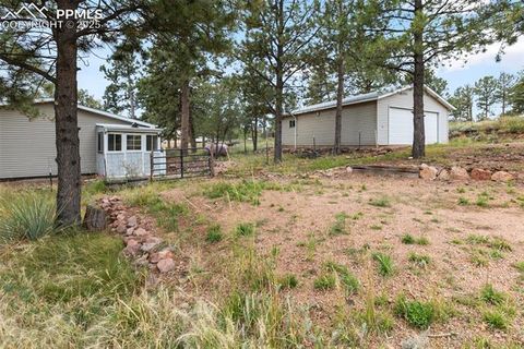 Tiny photo for 1703 Arapahoe Drive, Florissant, CO 80816 (MLS # 6974035)