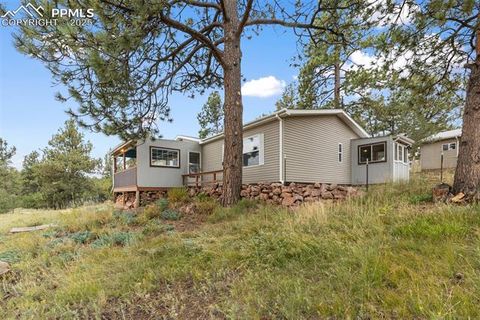 Tiny photo for 1703 Arapahoe Drive, Florissant, CO 80816 (MLS # 6974035)