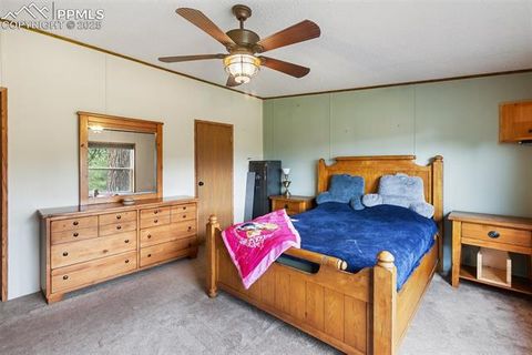 Tiny photo for 1703 Arapahoe Drive, Florissant, CO 80816 (MLS # 6974035)