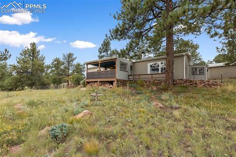 Tiny photo for 1703 Arapahoe Drive, Florissant, CO 80816 (MLS # 6974035)
