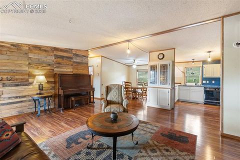 Tiny photo for 1703 Arapahoe Drive, Florissant, CO 80816 (MLS # 6974035)