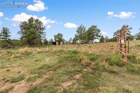 Tiny photo for 1703 Arapahoe Drive, Florissant, CO 80816 (MLS # 6974035)