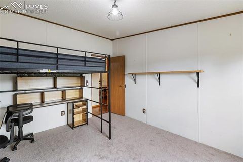 Tiny photo for 1703 Arapahoe Drive, Florissant, CO 80816 (MLS # 6974035)