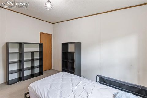 Tiny photo for 1703 Arapahoe Drive, Florissant, CO 80816 (MLS # 6974035)