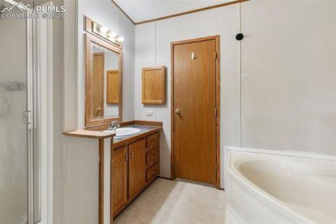 Tiny photo for 1703 Arapahoe Drive, Florissant, CO 80816 (MLS # 6974035)
