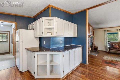Tiny photo for 1703 Arapahoe Drive, Florissant, CO 80816 (MLS # 6974035)