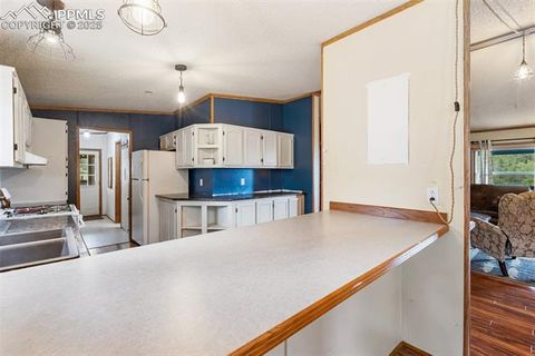 Tiny photo for 1703 Arapahoe Drive, Florissant, CO 80816 (MLS # 6974035)