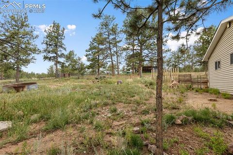 Tiny photo for 1703 Arapahoe Drive, Florissant, CO 80816 (MLS # 6974035)