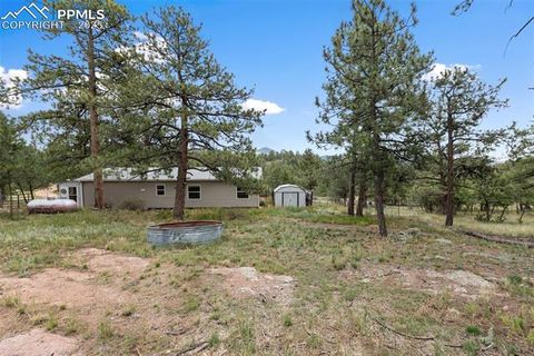 Tiny photo for 1703 Arapahoe Drive, Florissant, CO 80816 (MLS # 6974035)