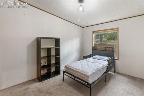 Tiny photo for 1703 Arapahoe Drive, Florissant, CO 80816 (MLS # 6974035)