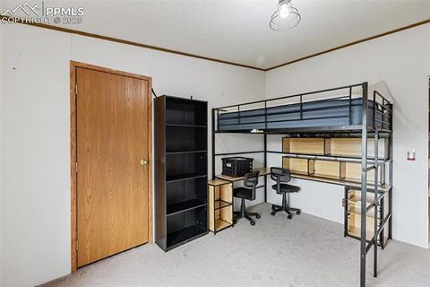 Tiny photo for 1703 Arapahoe Drive, Florissant, CO 80816 (MLS # 6974035)
