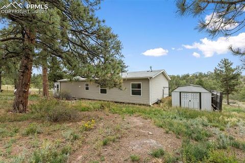 Tiny photo for 1703 Arapahoe Drive, Florissant, CO 80816 (MLS # 6974035)