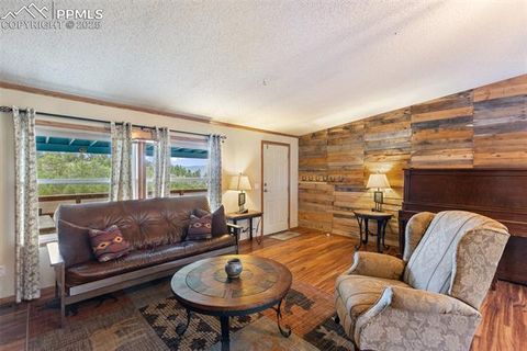 Tiny photo for 1703 Arapahoe Drive, Florissant, CO 80816 (MLS # 6974035)