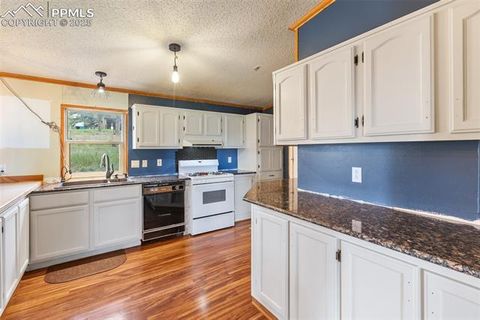 Tiny photo for 1703 Arapahoe Drive, Florissant, CO 80816 (MLS # 6974035)