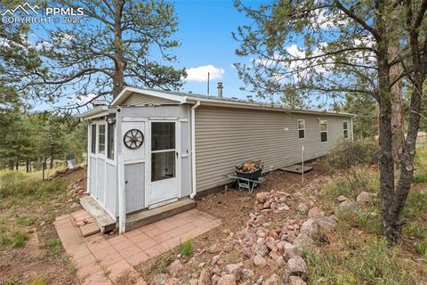 Tiny photo for 1703 Arapahoe Drive, Florissant, CO 80816 (MLS # 6974035)
