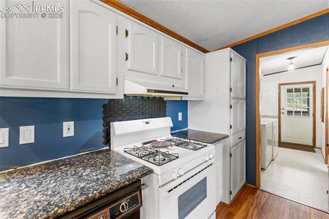 Tiny photo for 1703 Arapahoe Drive, Florissant, CO 80816 (MLS # 6974035)