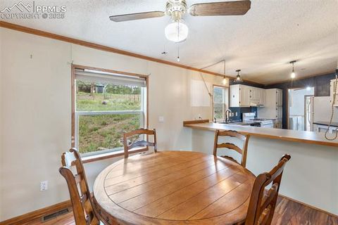Tiny photo for 1703 Arapahoe Drive, Florissant, CO 80816 (MLS # 6974035)