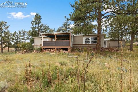 Photo of 1703 Arapahoe Drive, Florissant, CO 80816 (MLS # 6974035)