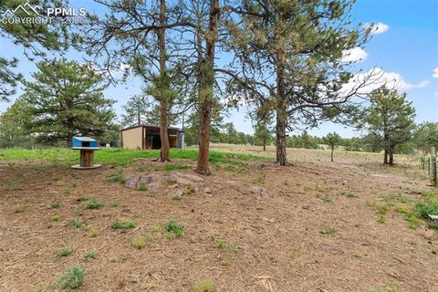 Tiny photo for 1703 Arapahoe Drive, Florissant, CO 80816 (MLS # 6974035)