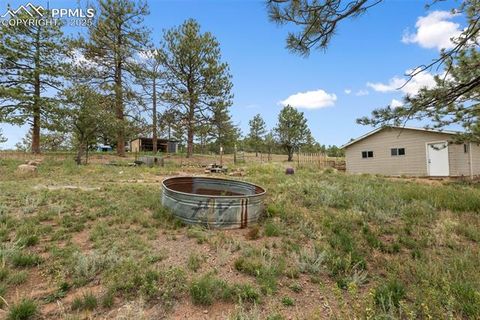 Tiny photo for 1703 Arapahoe Drive, Florissant, CO 80816 (MLS # 6974035)