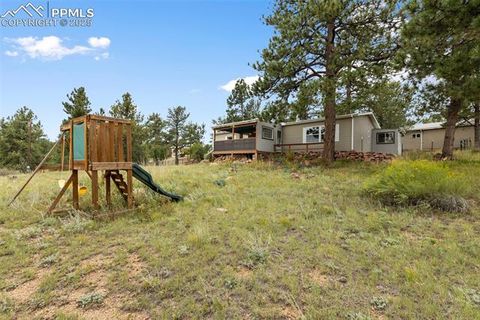 Tiny photo for 1703 Arapahoe Drive, Florissant, CO 80816 (MLS # 6974035)