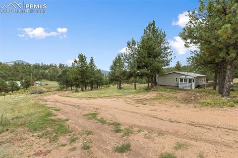 Tiny photo for 1703 Arapahoe Drive, Florissant, CO 80816 (MLS # 6974035)