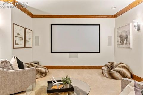 Tiny photo for 740 Silver Oak Grove, Colorado Springs, CO 80906 (MLS # 8232070)