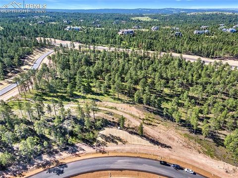 Photo of 14832 Quartz Creek Road, Colorado Springs, CO 80908 (MLS # 5139295)