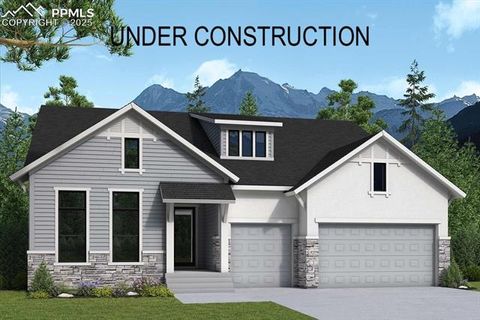 17122 Alsike Clover Court Monument CO 80132