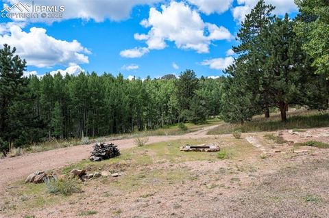 Tiny photo for 4710 Wildhorn Road, Florissant, CO 80816 (MLS # 3425964)