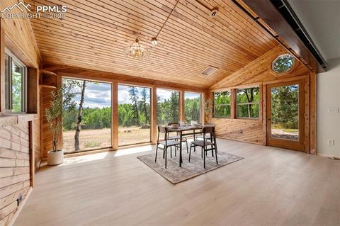 Tiny photo for 4710 Wildhorn Road, Florissant, CO 80816 (MLS # 3425964)